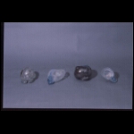 From Pluto's Beach 5x22x5 in.jpg